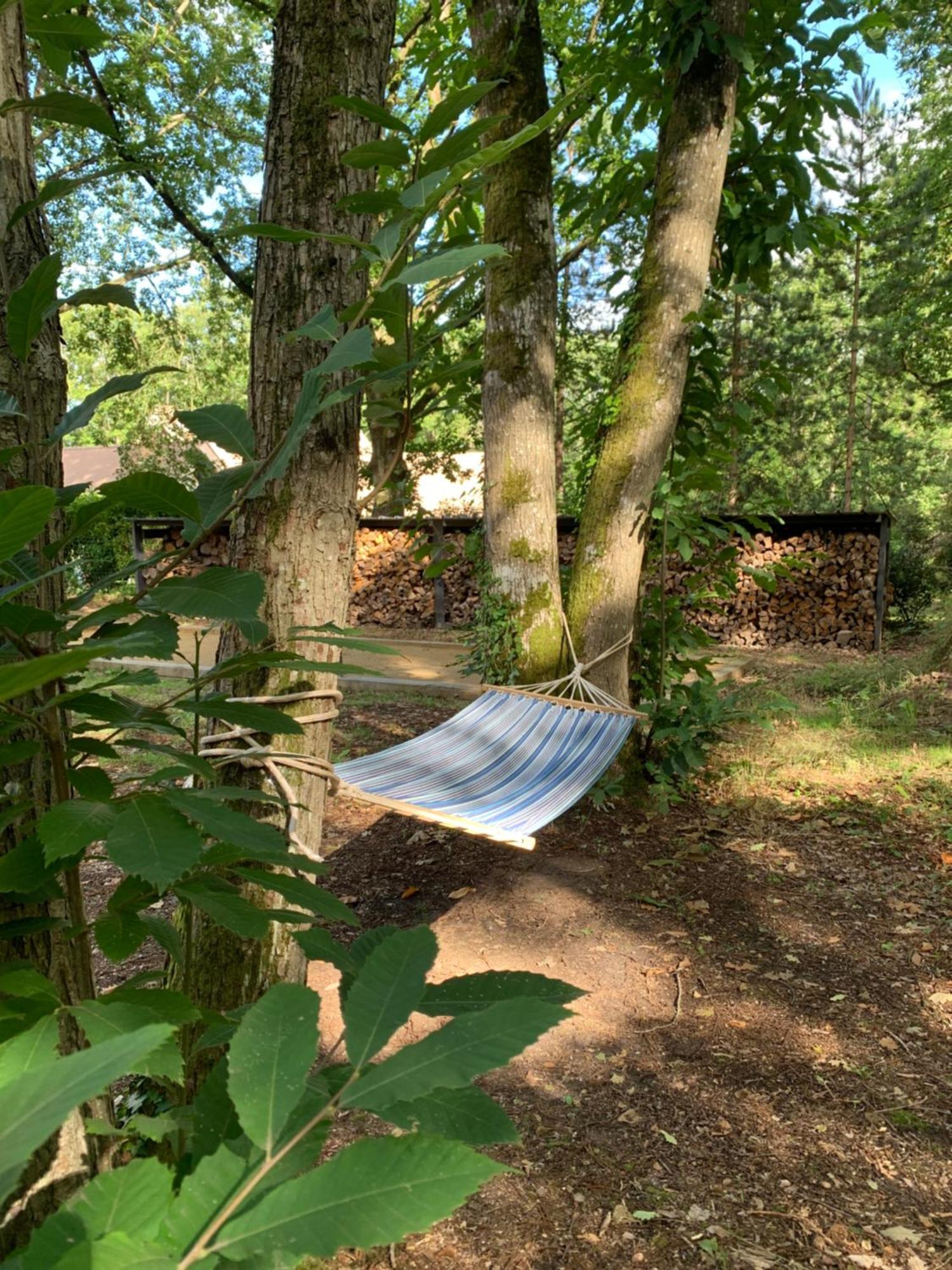 Somptueuse Villa D'Architecte Rochefort-en-Yvelines Zewnętrze zdjęcie